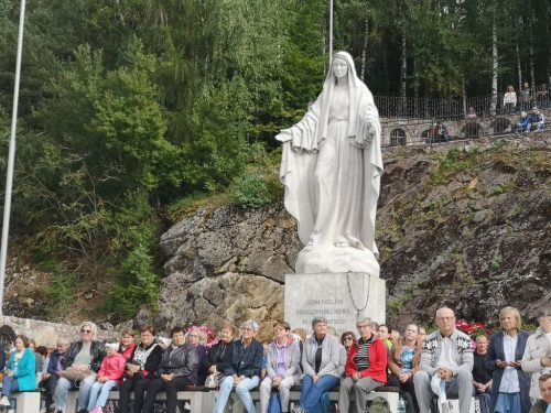 Фото 17 из 24