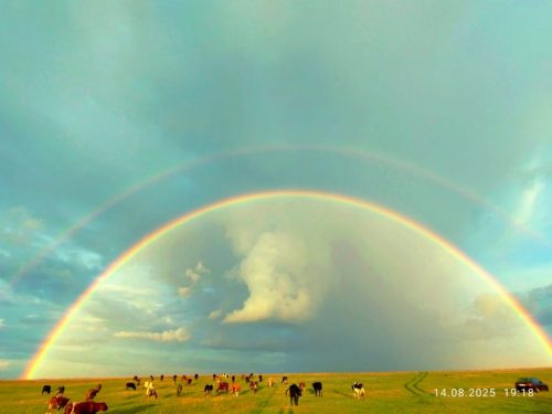 Фото 3 из 20