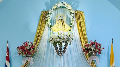 Фото 6 из 12